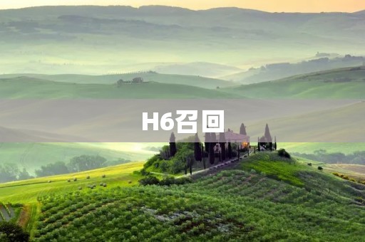 H6召回：车企自我救赎的开始