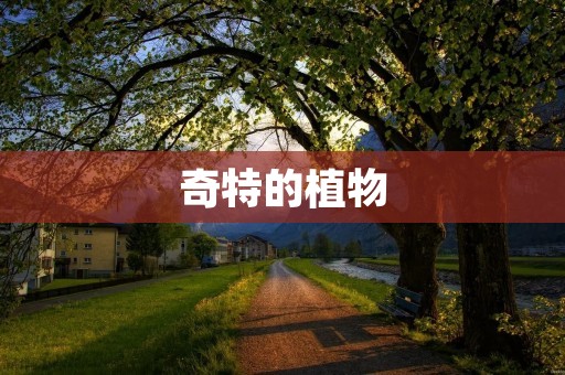 奇特的植物:世界上最稀奇古怪的植物大集合