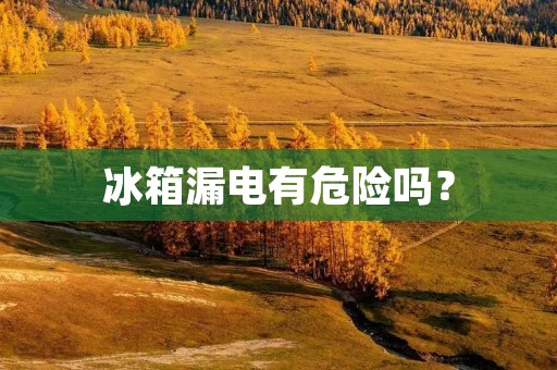 冰箱漏电有危险吗？