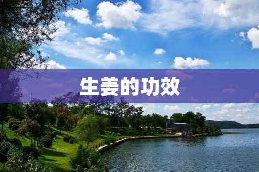 生姜的功效