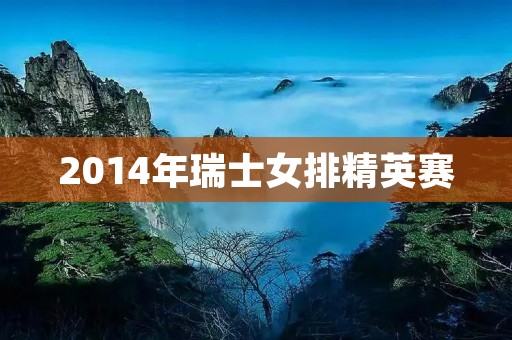 2014年瑞士女排精英赛：中国女排夺冠