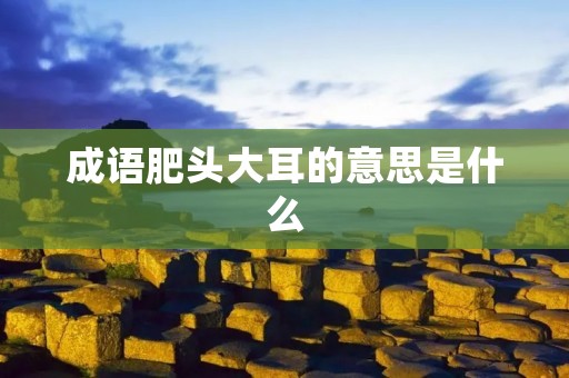 成语肥头大耳的意思是什么