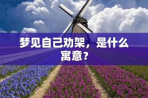 梦见自己劝架，是什么寓意？