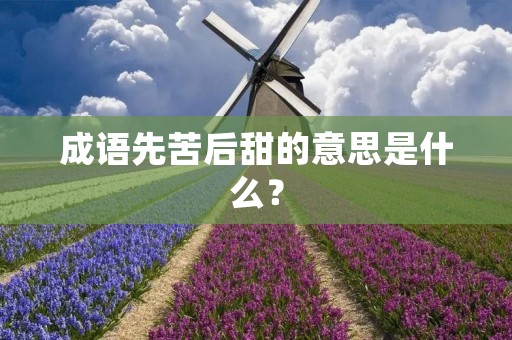 成语先苦后甜的意思是什么？
