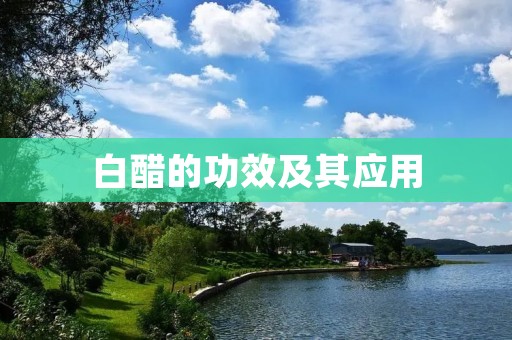 白醋的功效及其应用 白醋的功效及其应用