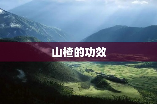 山楂的功效