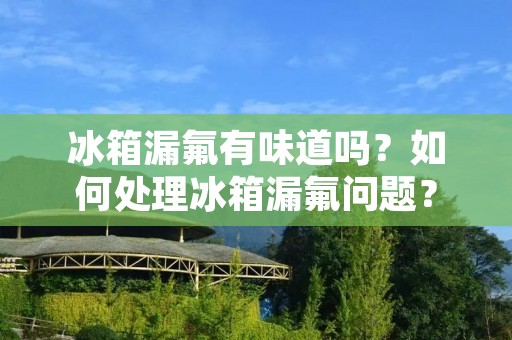冰箱漏氟有味道吗？如何处理冰箱漏氟问题？