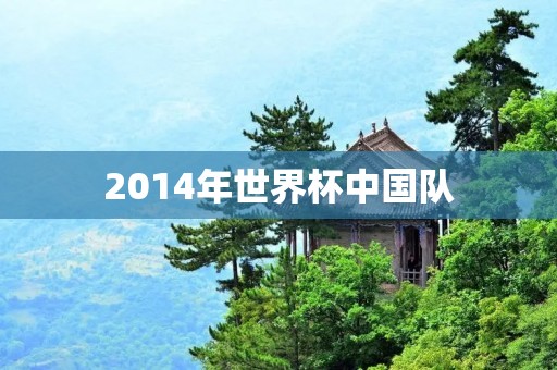 2014年世界杯中国队：一次梦想的落空