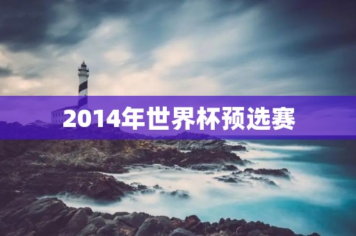 2014年世界杯预选赛：亚洲区比赛回顾