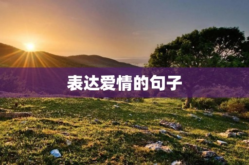 表达爱情的句子