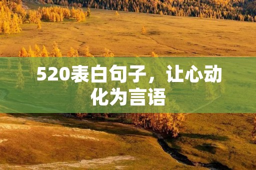 520表白句子,让心动化为言语
