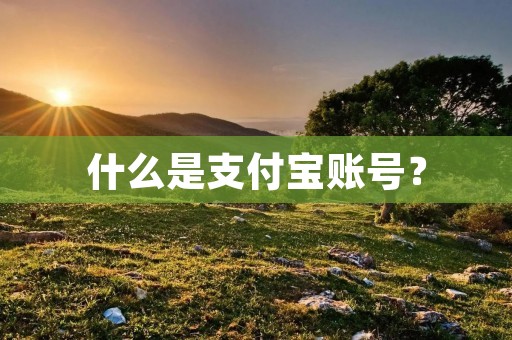 什么是支付宝账号? 什么是支付宝账号?