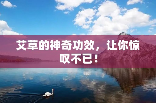 艾草的神奇功效，让你惊叹不已！