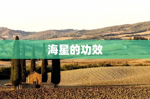 海星的功效：从珊瑚礁到美容界的神奇转变