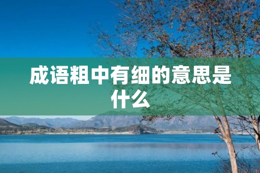 成语粗中有细的意思是什么
