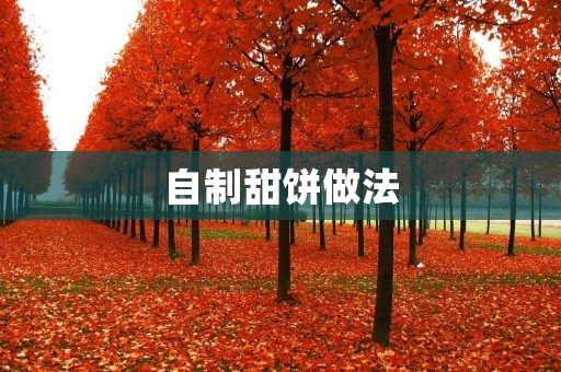 自制甜饼做法