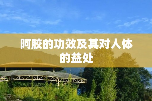 阿胶的功效及其对人体的益处