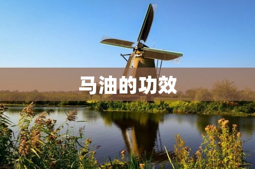 马油的功效：让肌肤更健康更美丽