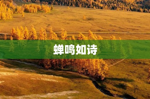 蝉鸣如诗:探寻蝉的诗意 蝉鸣如诗:探寻蝉的诗意