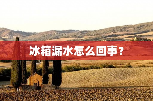 冰箱漏水怎么回事? 冰箱漏水怎么回事?