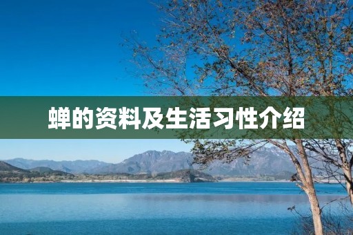 蝉的资料及生活习性介绍