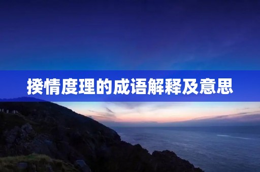 揆情度理的成语解释及意思