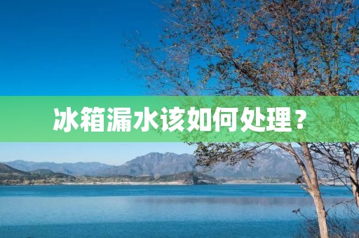 冰箱漏水该如何处理? 冰箱漏水该如何处理?