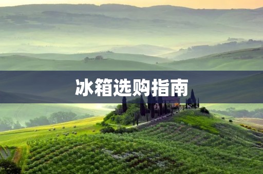 冰箱选购指南:哪个品牌更适合您? 冰箱选购指南:哪个品牌更适合您?
