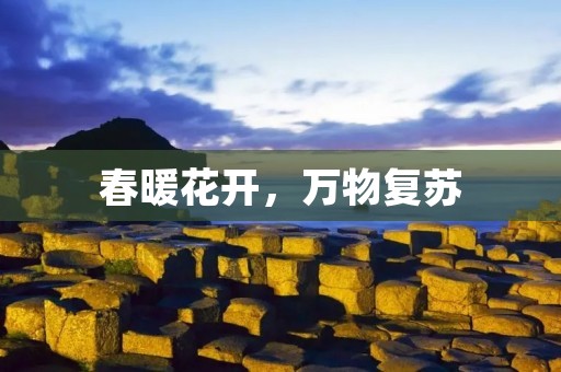 春暖花开,万物复苏