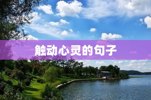 触动心灵的句子:如何用一句话打动人心?