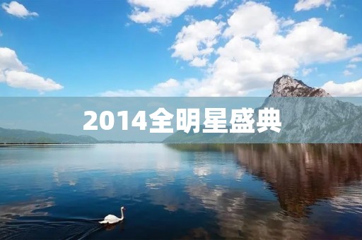 2014全明星盛典：巨星荟萃的篮球盛宴