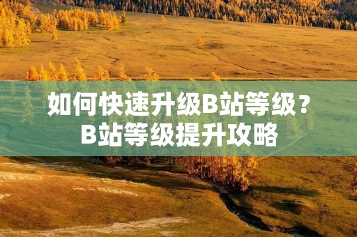 如何快速升级B站等级?B站等级提升攻略 如何快速升级B站等级?B站等级提升攻略