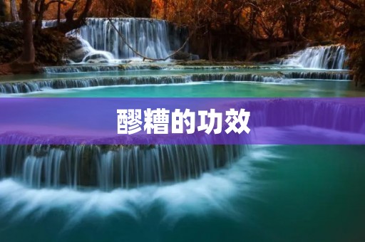 醪糟的功效：解析醪糟的神奇功效以及如何食用