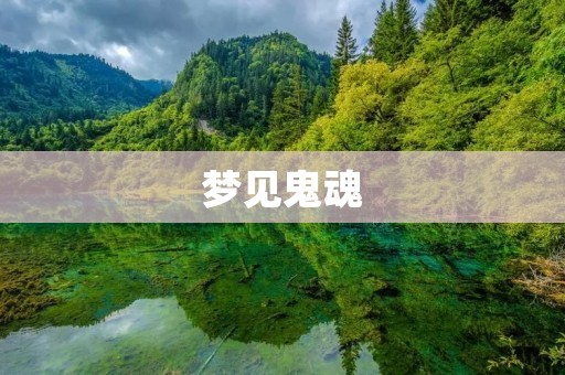 梦见鬼魂：解梦大全