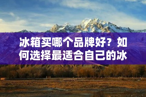 冰箱买哪个品牌好?如何选择最适合自己的冰箱品牌? 冰箱买哪个品牌好?如何选择最适合自己的冰箱品牌?