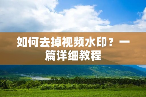 如何去掉视频水印？一篇详细教程