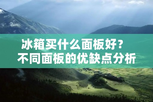 冰箱买什么面板好? 不同面板的优缺点分析 冰箱买什么面板好? 不同面板的优缺点分析