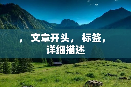 , 文章开头, 标签, 详细描述 , 文章开头, 标签, 详细描述