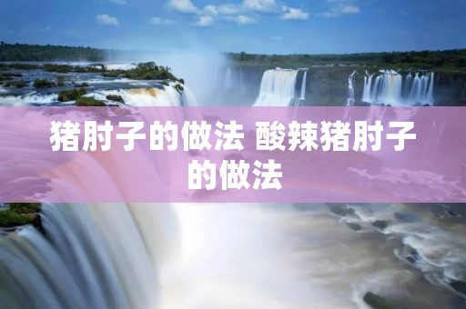 猪肘子的做法 酸辣猪肘子的做法 猪肘子的做法 酸辣猪肘子的做法
