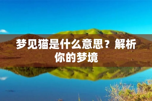 梦见猫是什么意思？解析你的梦境