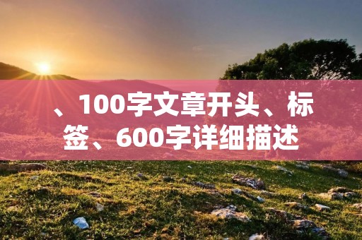 、100字文章开头、标签、600字详细描述 、100字文章开头、标签、600字详细描述