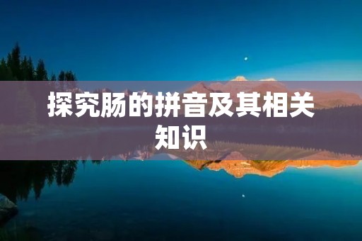探究肠的拼音及其相关知识