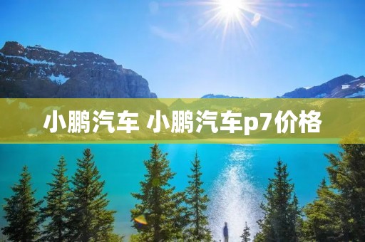 小鹏汽车 小鹏汽车p7价格