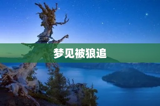 梦见被狼追：解梦分析与心理学解释