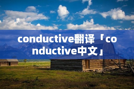 conductive翻译「conductive中文」