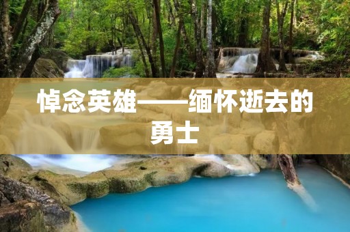 悼念英雄——缅怀逝去的勇士