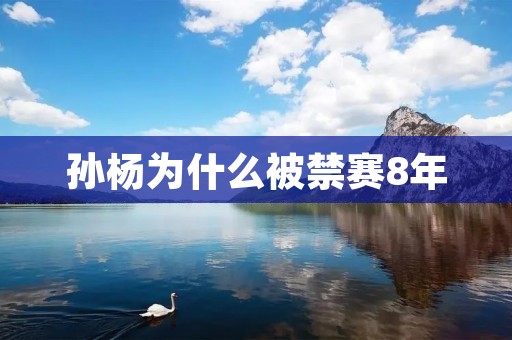 孙杨为什么被禁赛8年
