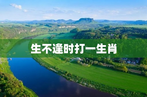 生不逢时打一生肖 生不逢时打一生肖