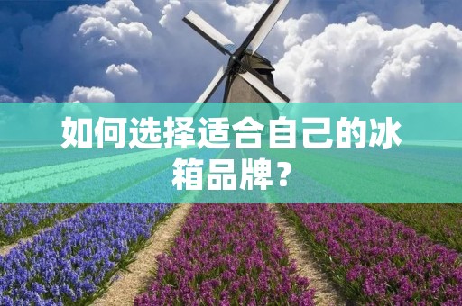如何选择适合自己的冰箱品牌? 如何选择适合自己的冰箱品牌?