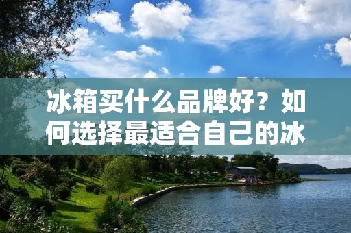 冰箱买什么品牌好?如何选择最适合自己的冰箱? 冰箱买什么品牌好?如何选择最适合自己的冰箱?